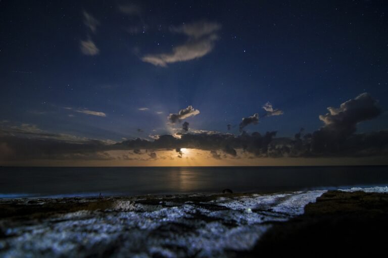 night, beach, sea-4154161.jpg